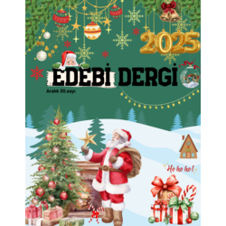 30.SAYI ARALIK