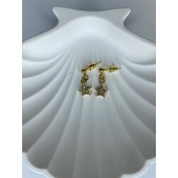 (O0011) ZİRKON YILDIZ KÜPE