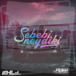 Sebebi Neydiki Hologram Sticker