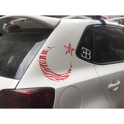 Ay Yıldız Sticker ( ZEBRA DESEN )