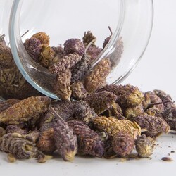 karabaş otu 120 gr