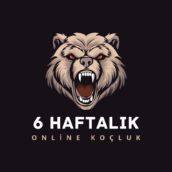 6 Haftalık Koçluk