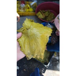 ORTA BOY 5 KG BİDON 