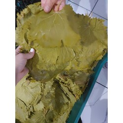 2026 YENİ SEZON ORTA BOY TAZE SALAMURA 5KG