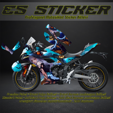 VOGE 250 RR KAPLAMA SETİ