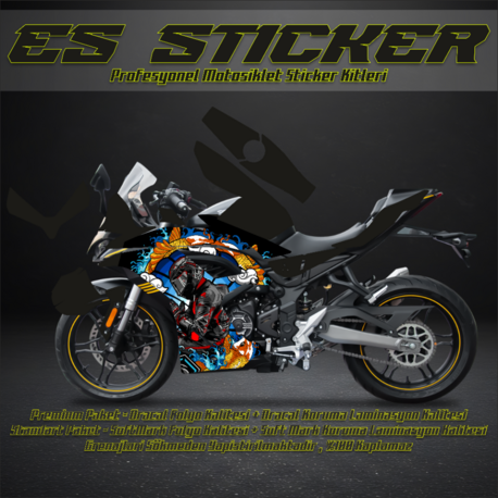 VOGE 250 RR KAPLAMA SETİ