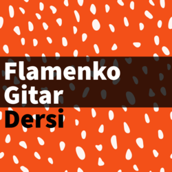Yüz yüze veya Online Flamenko Gitar Dersi 
