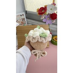 Papatyalı Pofuduk Buket