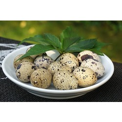 Bıldırcın Yumurtası -12 Adet