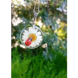 uğur böcekli gerçek kurutulmuş papatya kolye 