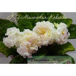 No 587 kz malenkaya koketka standart fide