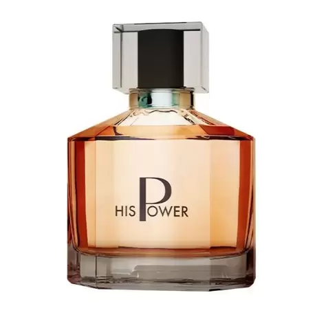 His Power Erkek Parfümü Edp 100 ml