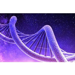 THETA HEALİNG DANIŞMANLIK