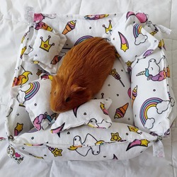 Pet Yatağı