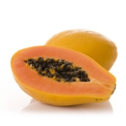 PAPAYA KG