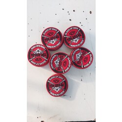 The Ayılar 2023 Skinhead Crew patch 