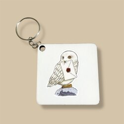 Harry Potter Hadwig anahtarlık
