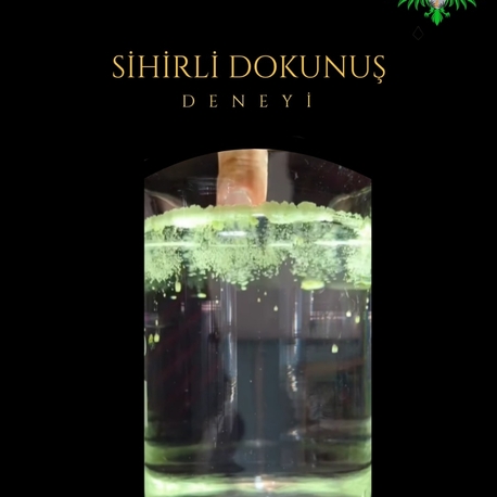 Sihirli Dokunuş 