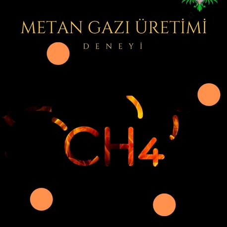Metan Gazı Üretimi 