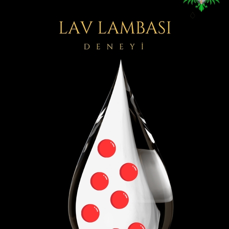 Lav Lambası 