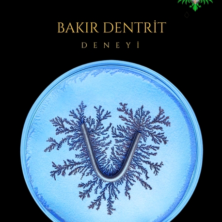 Bakır Dendrit