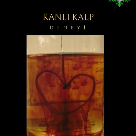 Kanlı Kalp