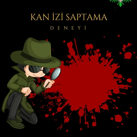 Kan İzi Saptama
