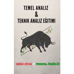 Borsa temel ve teknik analiz eğitimi