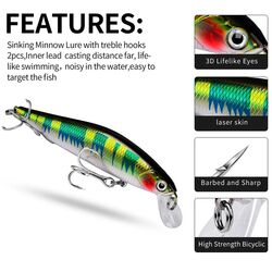 Proberos rapala