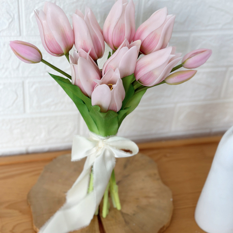 Tulip pink