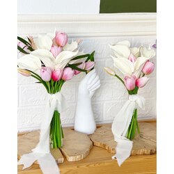 Lily 2025 set