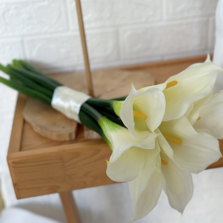Calla lily