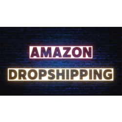 Amazon İleri Seviye Profesyonel Danışmanlık