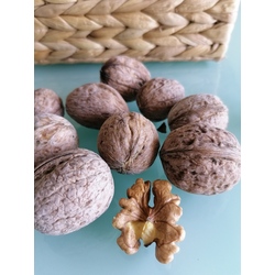 Kabuklu Ceviz 1 kg (yerli ürün)