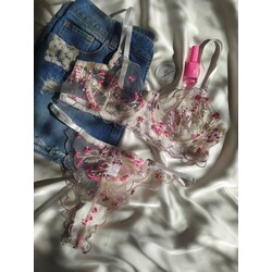 Pink daisy 