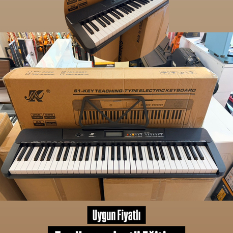 Öğrenci Seviyesi Eğitim Orgu 