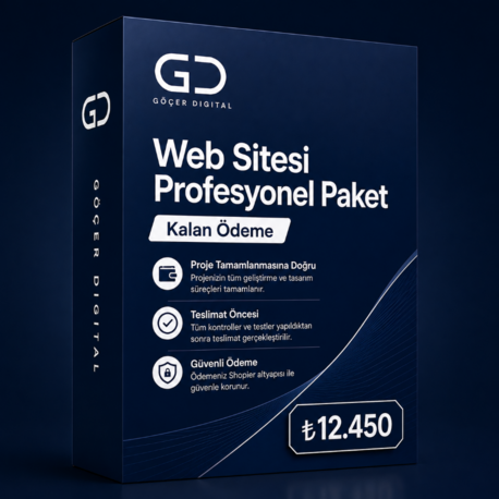 Web Sitesi Profesyonel Paket - Kalan Ödeme