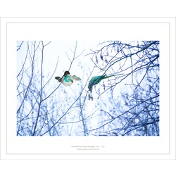 Artprint / Karşılaşma