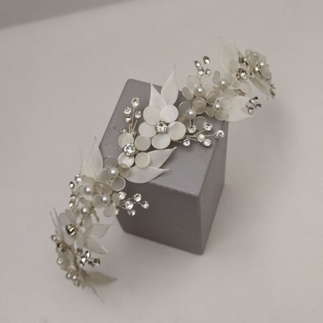 AGNES MODEL