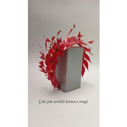 KIRMIZI PUNİCA