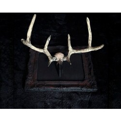 wendigo