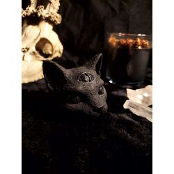 Salem 