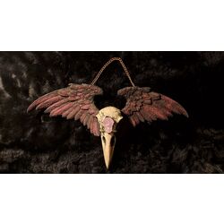 raven