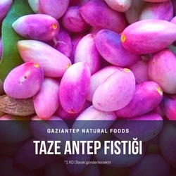 Taze Antep Fıstığı 1KG