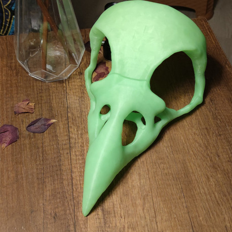 Kuzgun Kafatası Maske - Raven Skull 