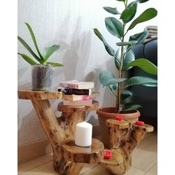 Saksılık veya Mumluk 