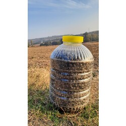 12 kg Yuvarlama (Yağlı Sele Zeytin)
