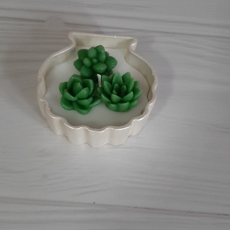 KD383-Midye Mum 