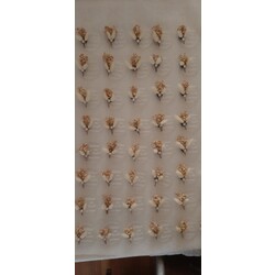 KD285-Şeffaf Pleksi Magnet