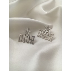 Dior çelik küpe